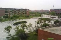 西南财经大学网络教育学院