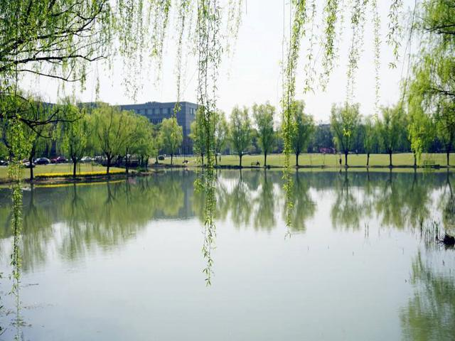 校园风采(三)