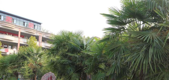 延津职业中等专业学校怎么样、好不好