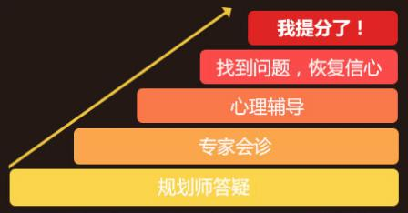 啄木鸟教育课程规划