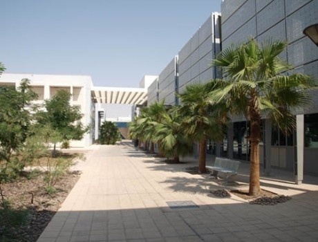 北大西洋学院