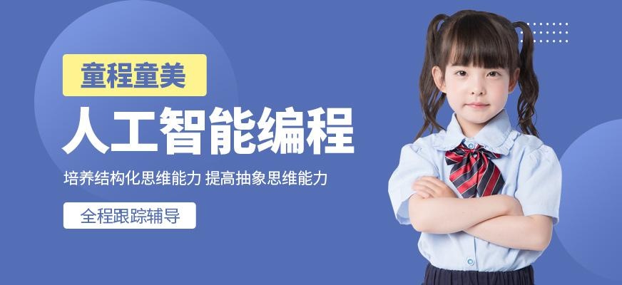 贵阳童程童美少儿人工智能编程培训