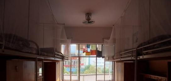 湖北职业技术学院ss