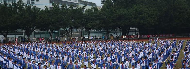 深圳石岩公学学校国际部小学地址在哪里