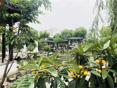 南京师范大学附属实验学校中加项目