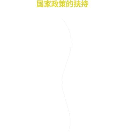 国家政策支持