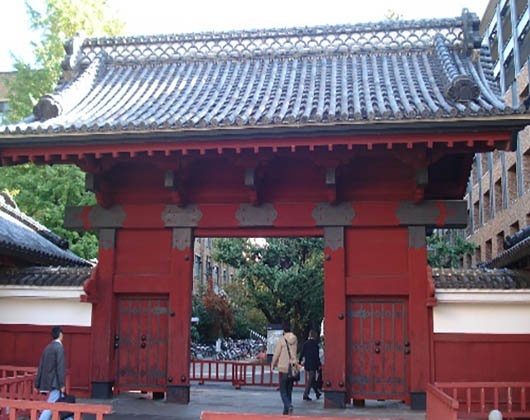 东京大学