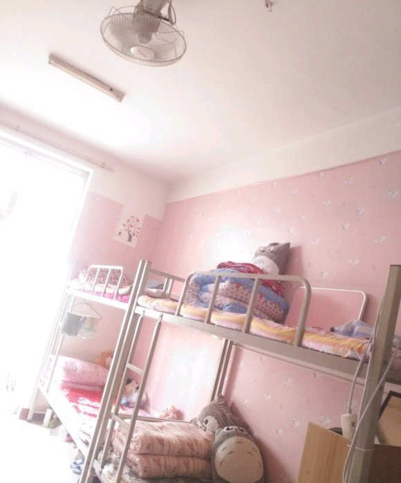 石家庄学院宿舍条件好不好?(宿舍条件)