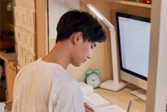 阶段性调整方案