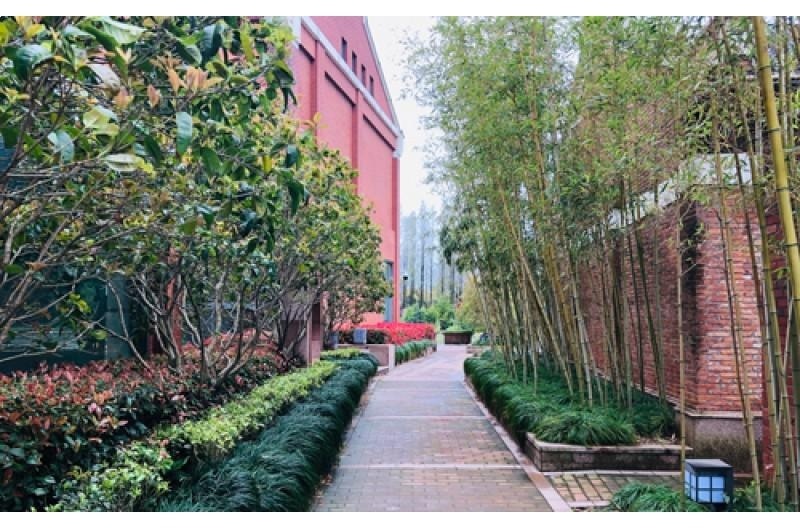 剑桥文理与剑桥艺术学校中国CATS China&CSVPA China