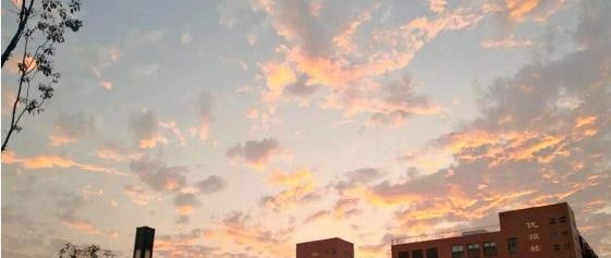 宁波东坤职业高级中学2020年招生办