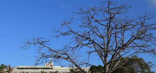 潮州职业技术学校