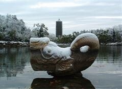 北京引航者教育