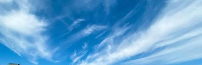 北京海淀国际学校2023年入学条件