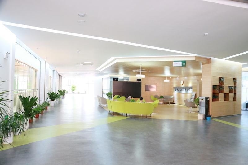 深圳道尔顿新华公学
