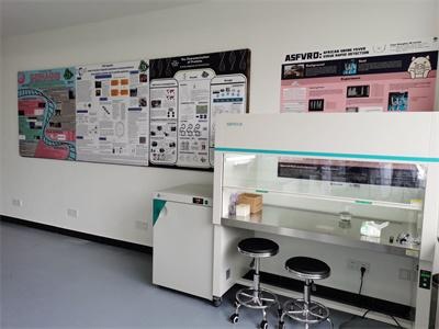 新东方扬州外国语学校