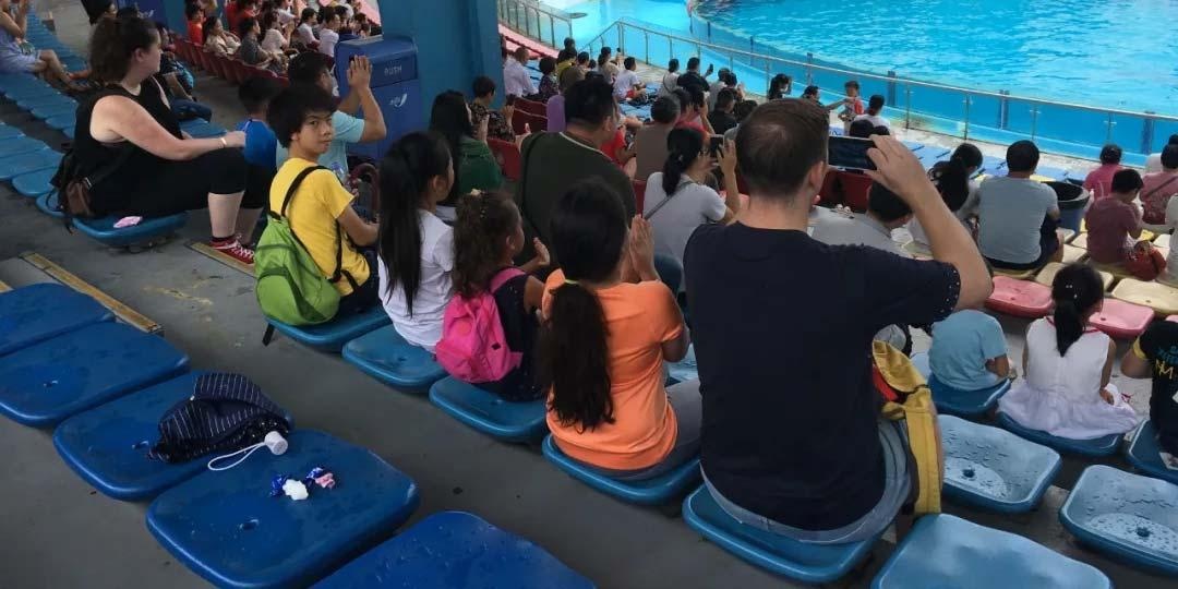 12_页面_03_图像_0001.jpg