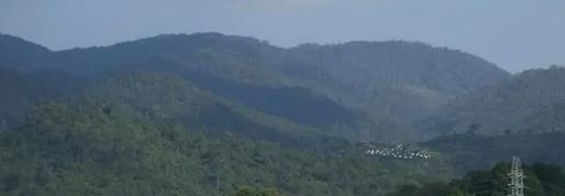 截图_20211118210935