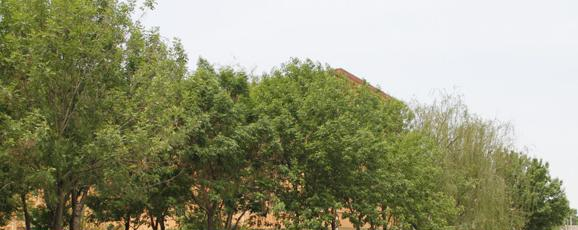 沧州市职业技术教育中心