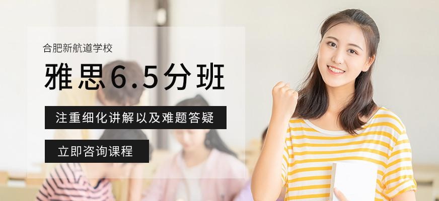 合肥新航道