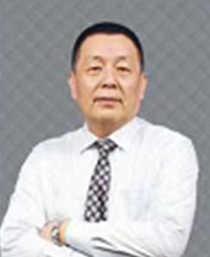 王树京