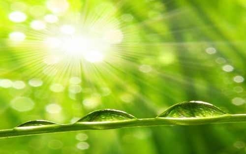 怎么能减轻心理压力