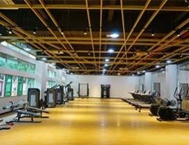 新哲书院（原讯得达国际书院）