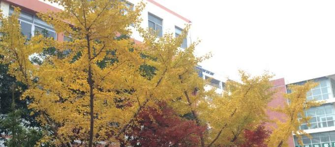 苏州高新中学2020年招生简章