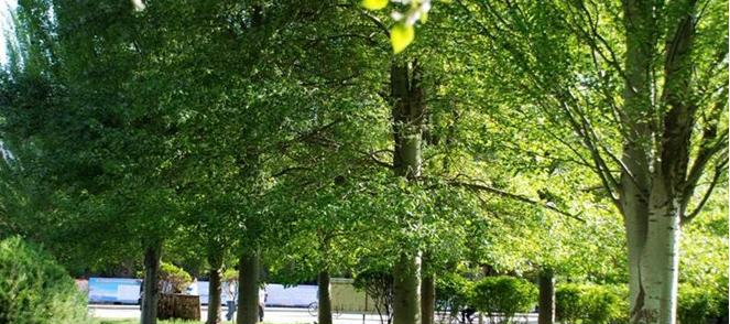 铜川市职业中等专业学校