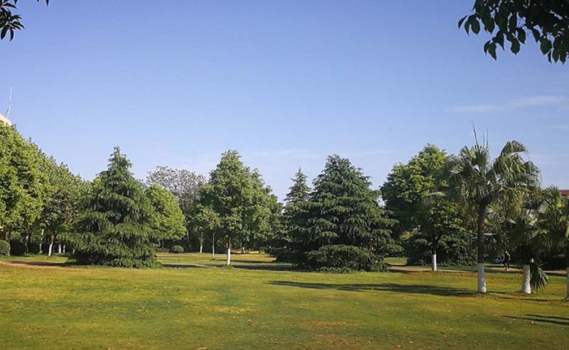 截图_20200417141721