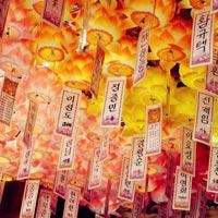韩妆分类用法