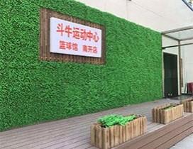 天津新星篮球