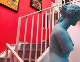 武汉大墨蒲公英