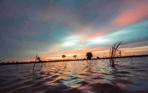 提高口语交际能力的方法