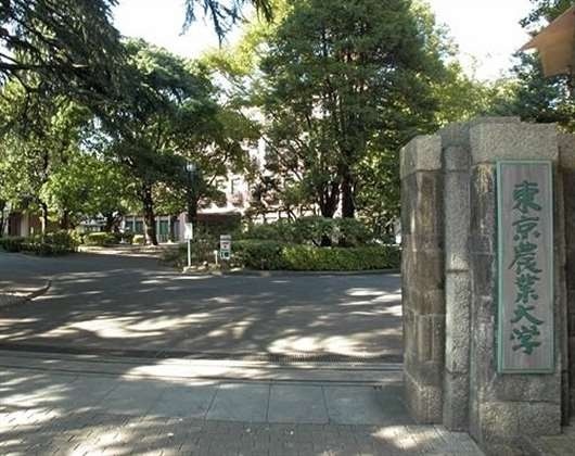 东京农业大学