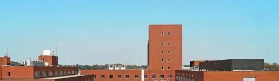 广东日本人学校初中部2023年课程体系