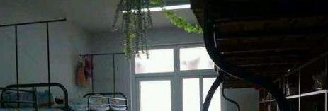 合肥商贸职业学校