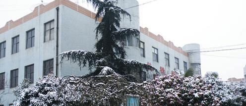 登封中等专业学校