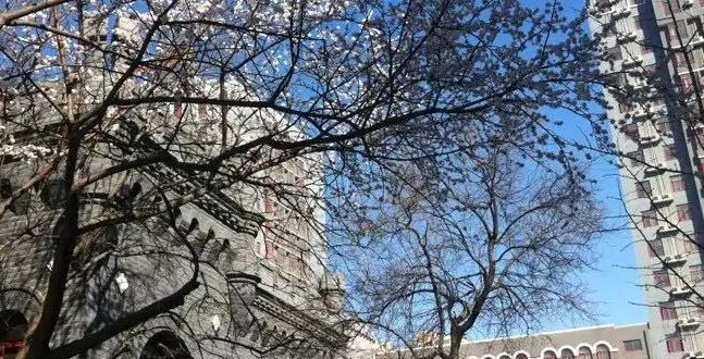 北京市通州区潞河中学2023年报名条件、招生要求、招生对象 
