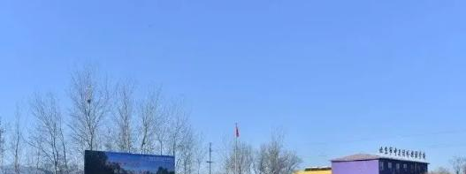 北京中关村外国语学校初中部靠谱吗
