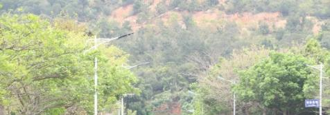 晋州职业技术中学