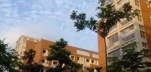 广东理工职业学院2020年报名条件、招生要求、招生对象