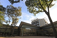 国际基督教大学