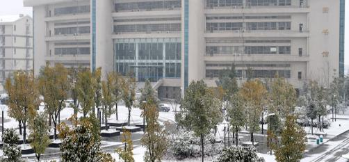 安徽审计职业学院地址在哪里