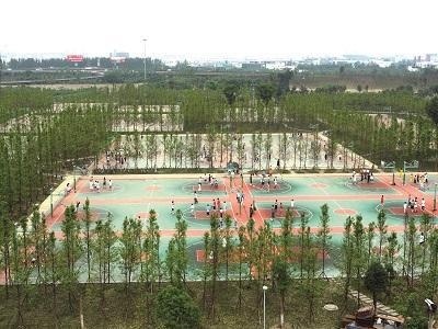 成都电子科技大学OSSD国际课程