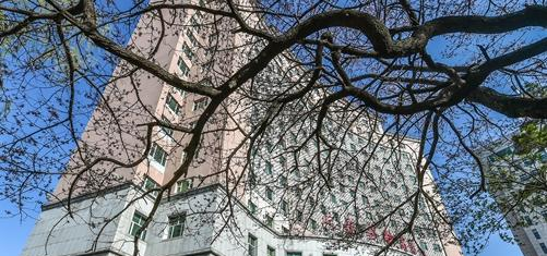 长春金融高等专科学校单招