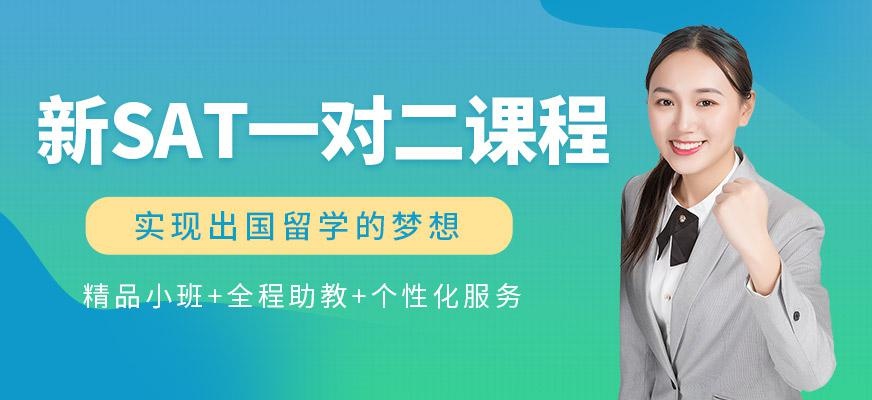 新SAT一对二课程