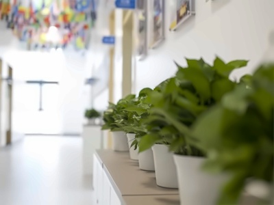 武汉长江实验学校国际部校园环境