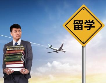 教辅团队