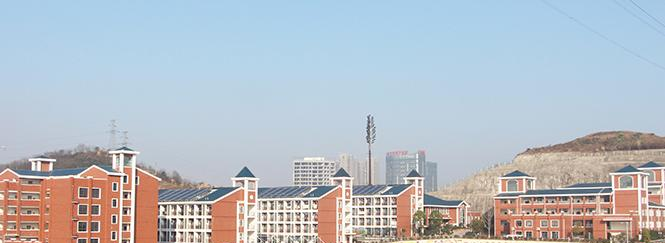 天問(wèn)國(guó)際小學(xué)2020年學(xué)費(fèi)、收費(fèi)多少